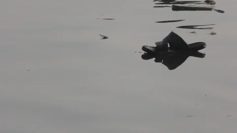 Floating pollution with waste material on its surface Stock Footage 126769594