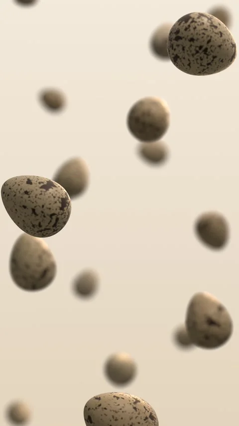 Floating quail eggs on beige background. 3d rendering Stock Footage 342000627
