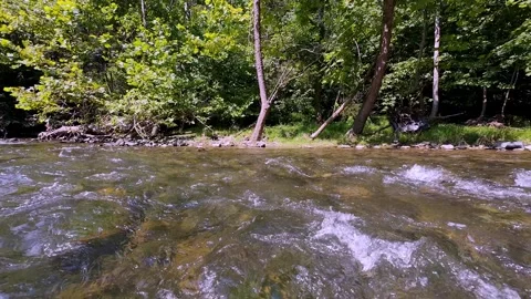 Floating quickly down river bank Stock Footage 314238235