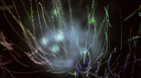 Floating Rays 库存影片 43139774