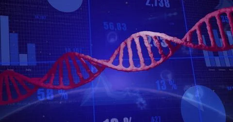 Floating red 3D DNA helix crossing virtual dashboard, linking with bar charts Stock Photos