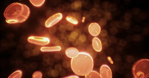 Floating red blood cells creating a mesmerizing dance in a microscopic world Stock Footage 319749631