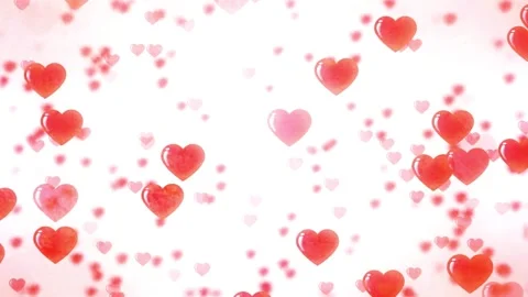Floating red hearts on white background for Valentines Day Stock Footage 334572797