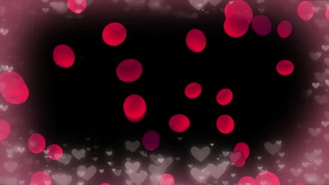 Floating red petal confetti falling against elegant dark background with Video stock 345335204