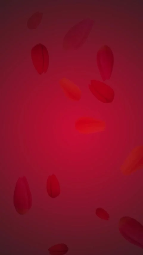 Floating Red Rose Petals on Dark Red Background Motion Video Video stock 308679119