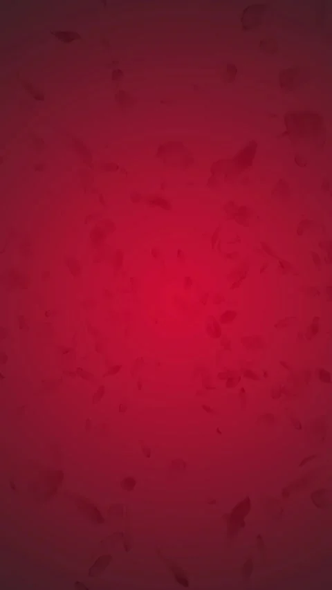 Floating Red Rose Petals on Dark Red Background Motion Video Video stock 308679122