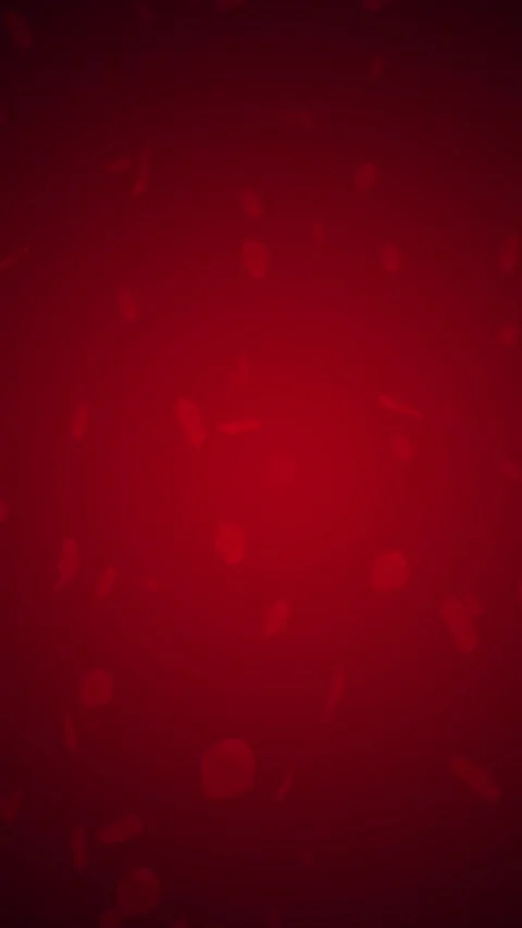 Floating Red Rose Petals on Dark Red Background Motion Video Video stock 308679125