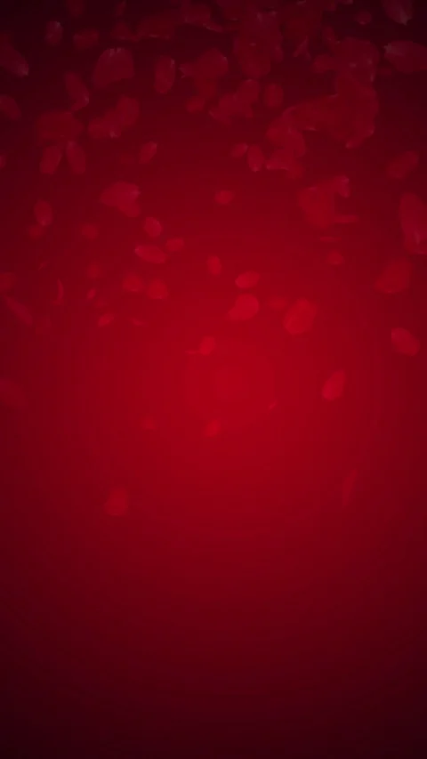 Floating Red Rose Petals on Dark Red Background Motion Video Video stock 308679136