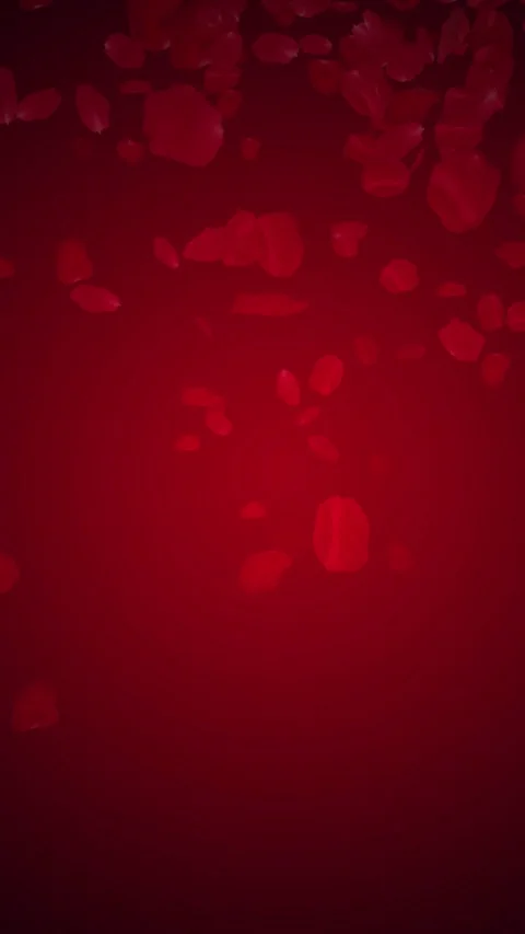Floating Red Rose Petals on Dark Red Background Motion Video Video stock 308679137