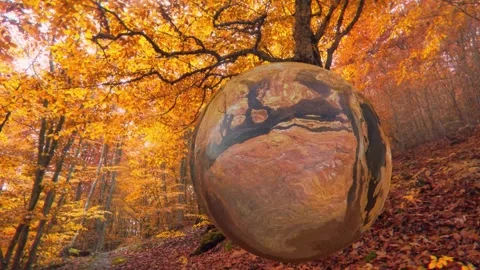 Floating reflective sphere in autumn forest scene Stock Footage 288981744