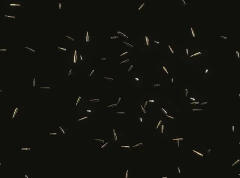 Floating Rifle Bullets on Black Background Illustrazione stock