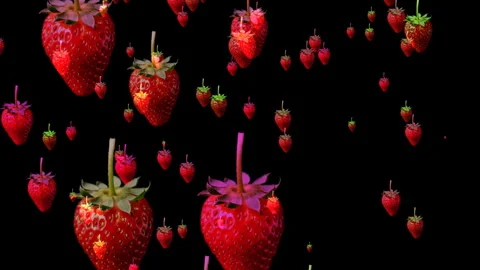Floating Ripe Strawberries on Black Background Fresh Red Fruit Pattern Stock Footage 331826100