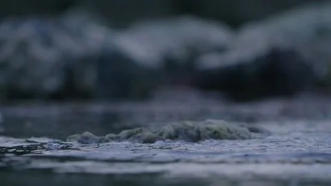 Floating river and an object falling in water Stock Footage 132858800