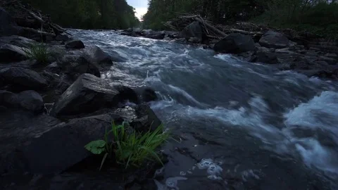 Floating river bevore sunset. Idyllic scene and water sound Stock Footage 75093512