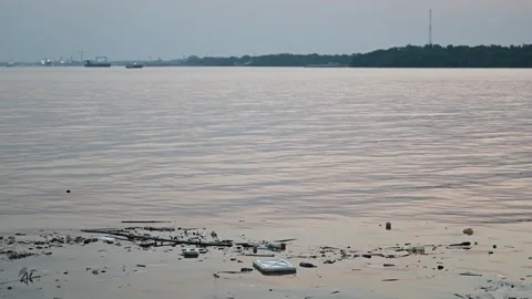 Floating river debris near Samut Prakan waterfront Vidéo 339874694