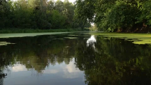 Floating on river Stock Footage 87919526