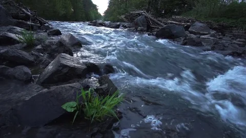 Floating river in the sunrise. Idyllic scene and water sound. 50 fps Stock Footage 75440569