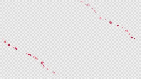 Floating Rose Petals Confetti Toss Overlay drifting slowly in soft 4K Alpha Stock Footage 346357406