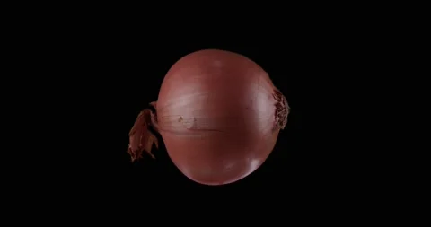 Floating rotating onion black/green screen Stock Footage 233653536