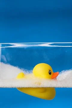 Floating rubber duck Stock Photos