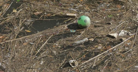 Floating rubbish pollution with foam cup blowing in wind Stock Footage 101407533