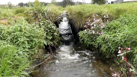 Floating runnel Stock Footage 80767169