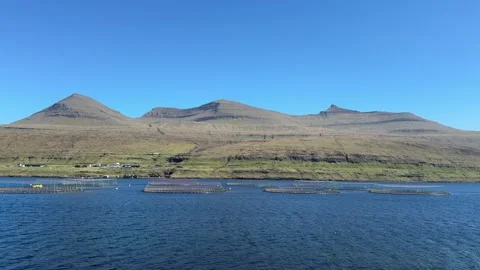 Floating salmon cages line a deep-blue Faroese fjord Stock Footage 310948052