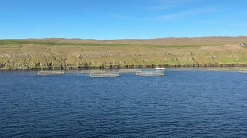 Floating salmon pens span clear waters of a Faroe Islands fjord Stock Footage 310948019