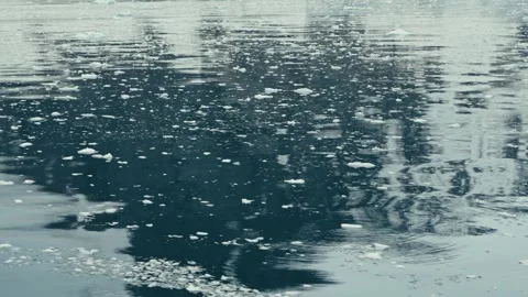 Floating sea ice on calm Antarctic ocean surface Stock Footage 336199678