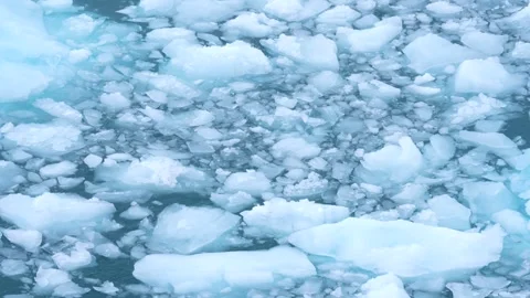 Floating Sea of Ice Icebergs Close Up Antarctica Blue Frozen Ocean Sailing Stock Footage 277920396