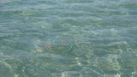 Floating Seaweed and Aquatic Plants on Clear Water Surface Stock Footage 346414349