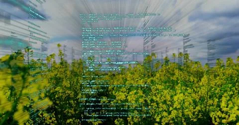 Floating semi-transparent code overlay augmenting rural farmland view, with Foto stock
