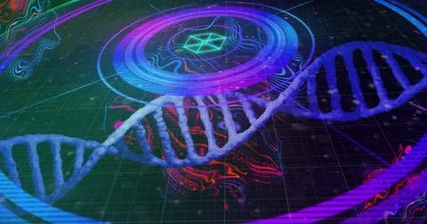 Floating semi-transparent DNA double helix hovering above interface grid with Stock Photos