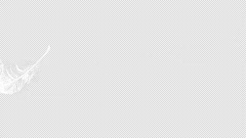 Floating single White Feather Animation with Transparent Background  Stock Footage 303180688