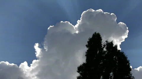 Floating in the sky Stock Footage 768827