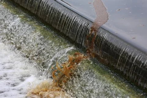 Floating sludge at final effluent Stock Photos