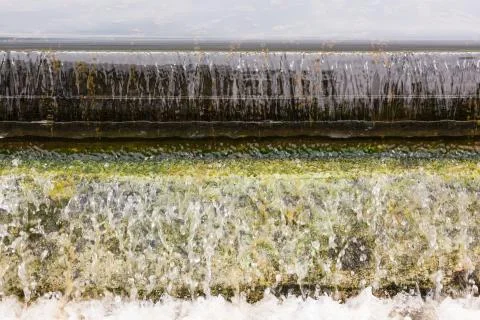 Floating sludge Stock Photos