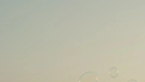Floating soap bubbles Stock Footage 340627342