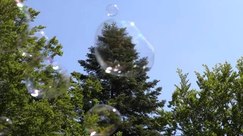 Floating soap bubbles in forest against the blue sky Stock Footage 120539258