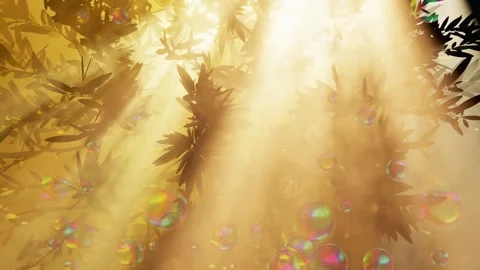 Floating soap bubbles moving upward in golden forest sunlight at sunset. Vídeo Stock 337159484