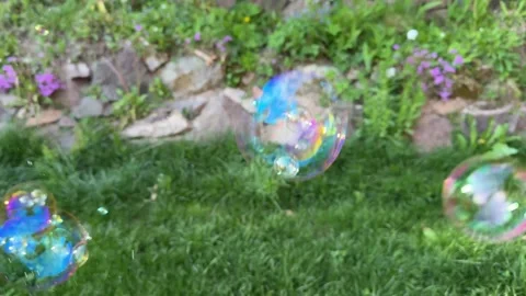 Floating Soap Bubbles Over Green Garden Grass in Sunlight Nature Background Stock Footage 334044966
