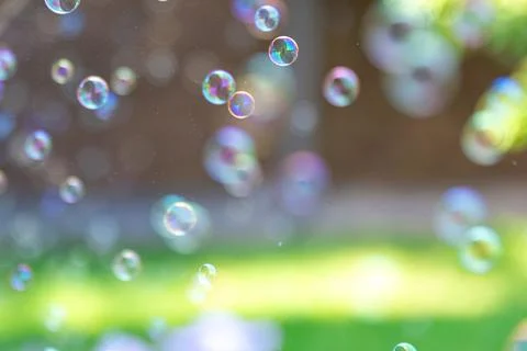 Floating soap bubbles over green grass. Soft colorful background with open .. Stock Photos