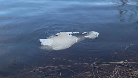 Floating spring ice drift on the river Stock-Footage 307999035