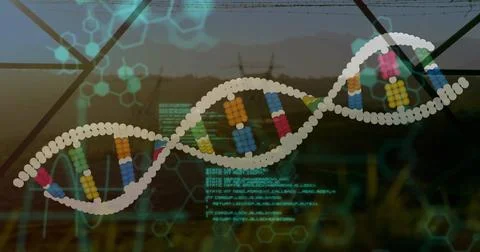 Floating stylized 3D double helix model moving above open fields with base pairs 스톡 사진