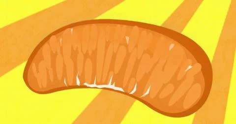 Floating stylized mandarin orange segment on yellow field with sunbeam stripes, Illustrazione stock