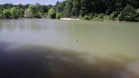 Floating sweet Duck Stock Footage 93505425