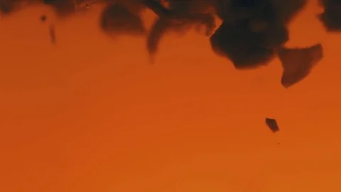 Floating Tea Pieces 스톡 동영상 95842326