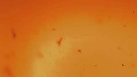 Floating Tea Pieces 스톡 동영상 95842337