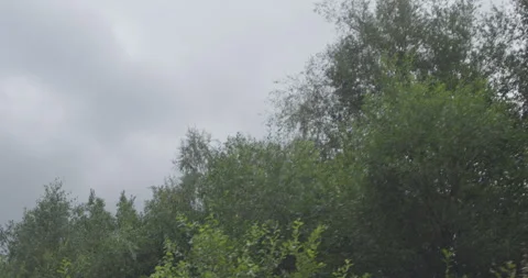 Floating through Countryside #3 - 4K Footage Stock-Footage 270363072