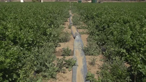 Floating through farm field with irrigation pipe wide angle Stock Footage 71118827
